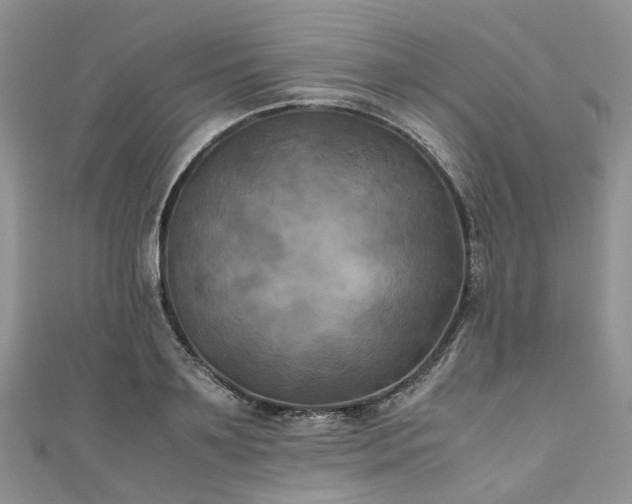 X0000111010891200906261517