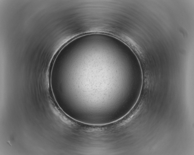 X0000111010892200906261517