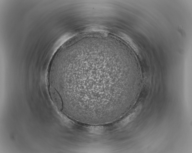 X0000111010893200906261517