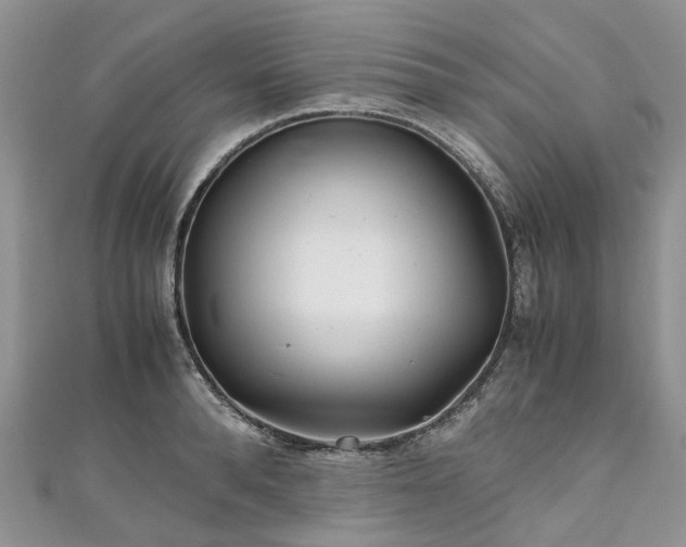 X0000111010896200906261517