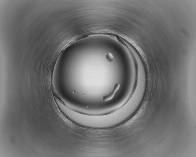 X0000111010897200906261517
