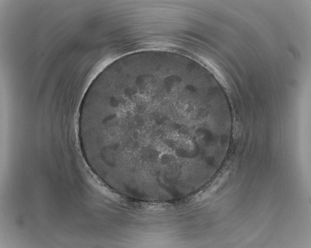 X0000111010899200906261517