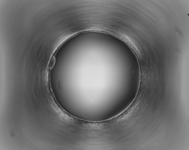 X0000111010900200906261517