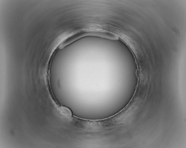 X0000111010901200906261517
