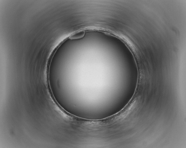 X0000111010902200906261517