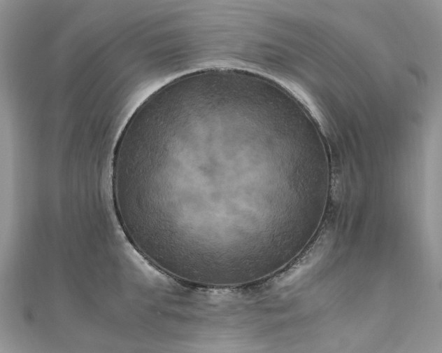 X0000111010903200906261517