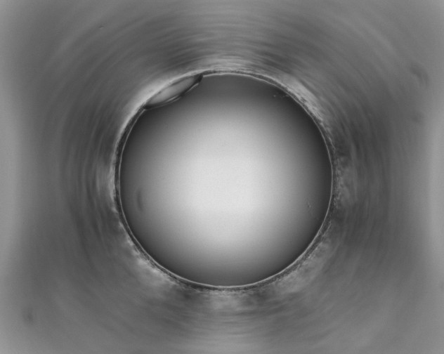 X0000111010904200906261517