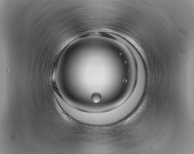 X0000111010905200906261517