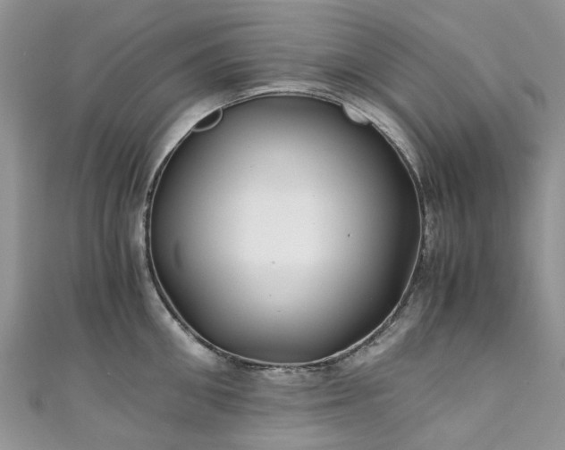 X0000111010906200906261517