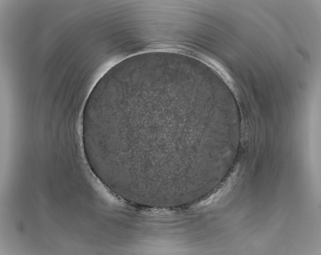 X0000111010907200906261517