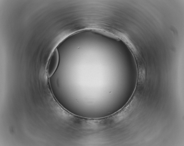 X0000111010908200906261517