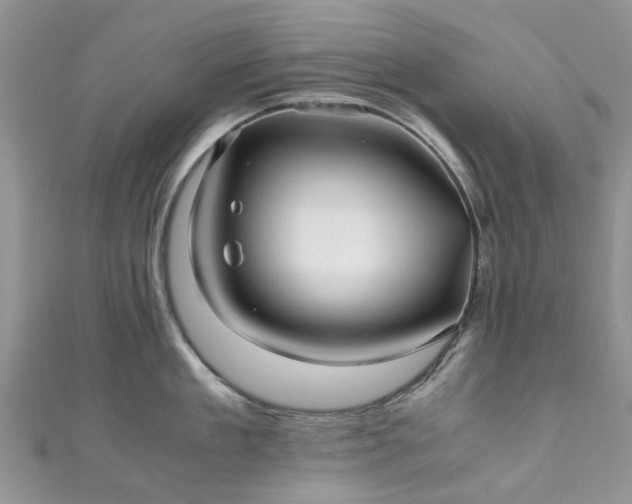 X0000111010909200906261517