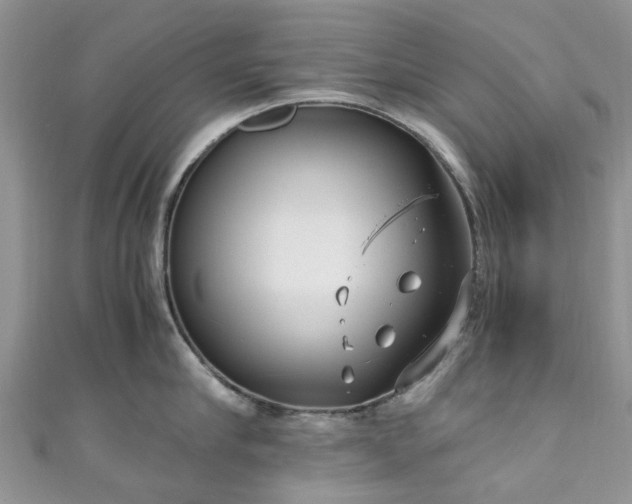X0000111010910200906261517