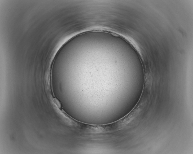 X0000111010911200906261517
