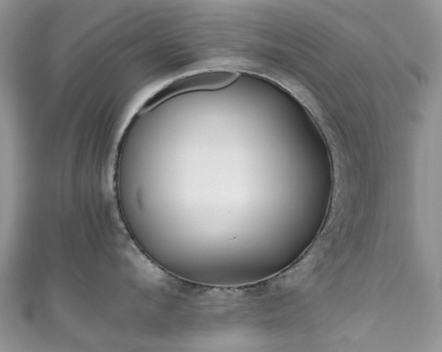 X0000111010912200906261517