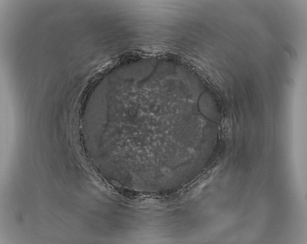 X0000111010913200906261516