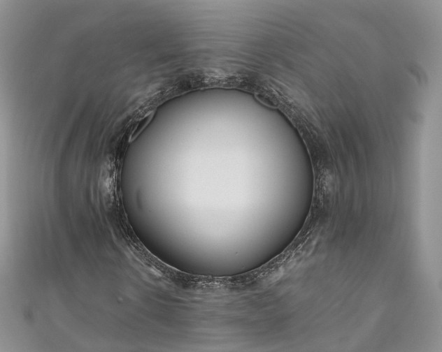 X0000111010914200906261516