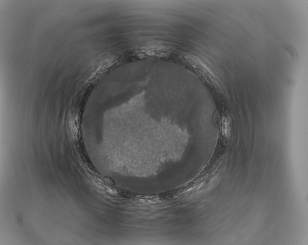 X0000111010915200906261516