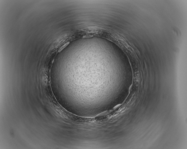 X0000111010916200906261516