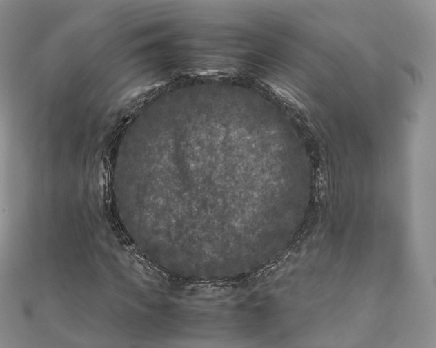 X0000111010917200906261516