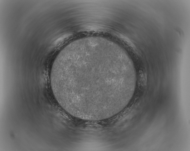 X0000111010918200906261516
