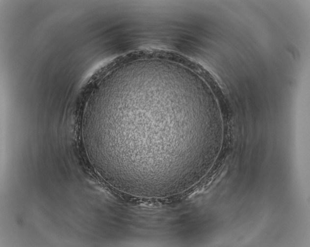 X0000111010919200906261516