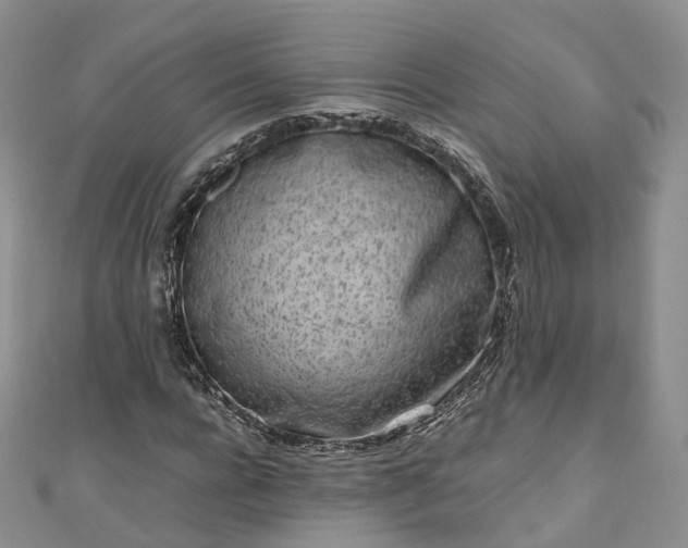 X0000111010920200906261516