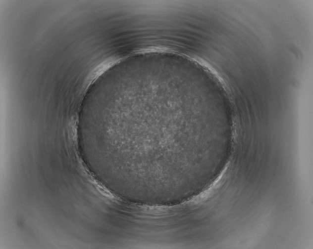 X0000111010921200906261516