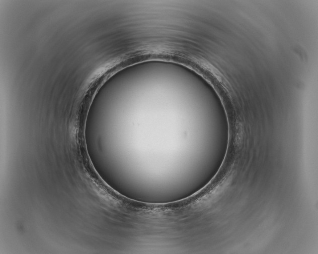 X0000111010922200906261516