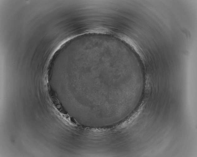X0000111010923200906261516