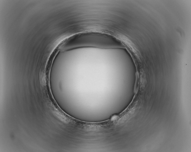 X0000111010924200906261516
