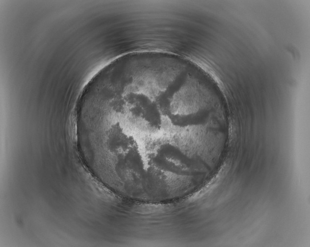 X0000111010925200906261516