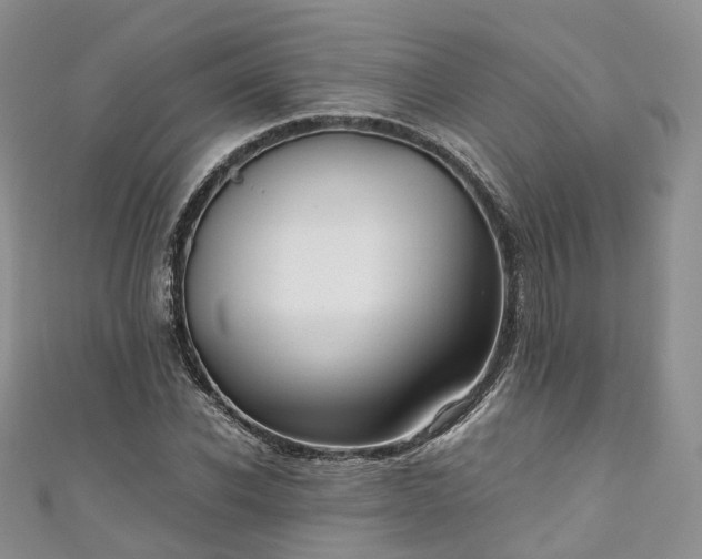 X0000111010926200906261516