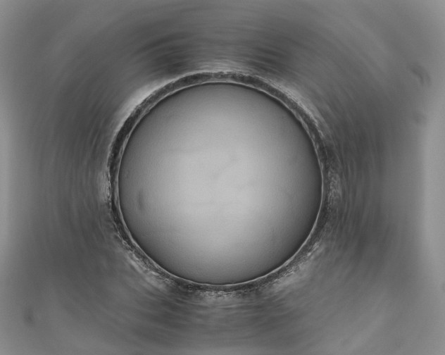 X0000111010927200906261516