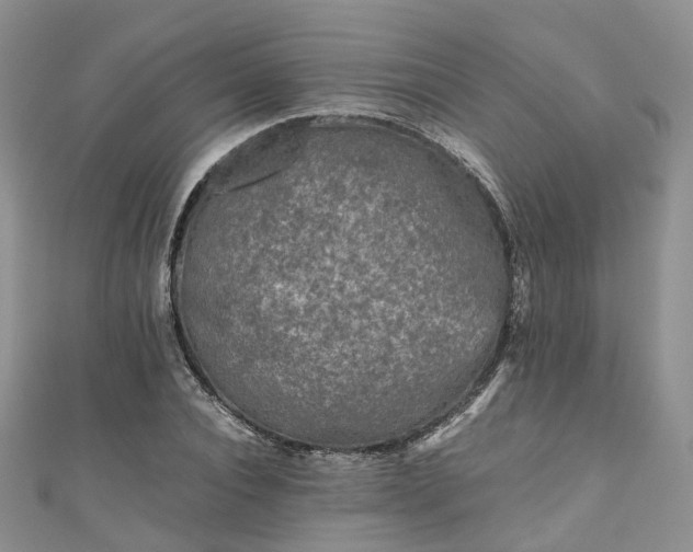 X0000111010928200906261516