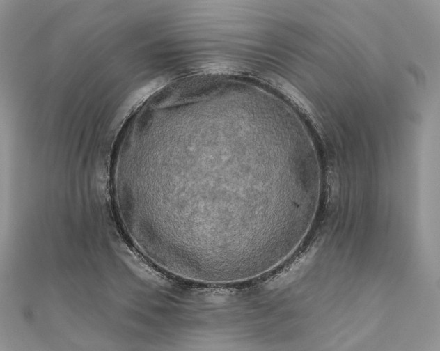 X0000111010930200906261516