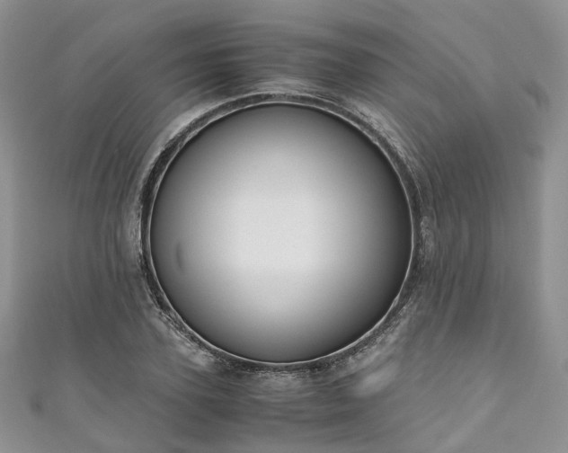 X0000111010931200906261516