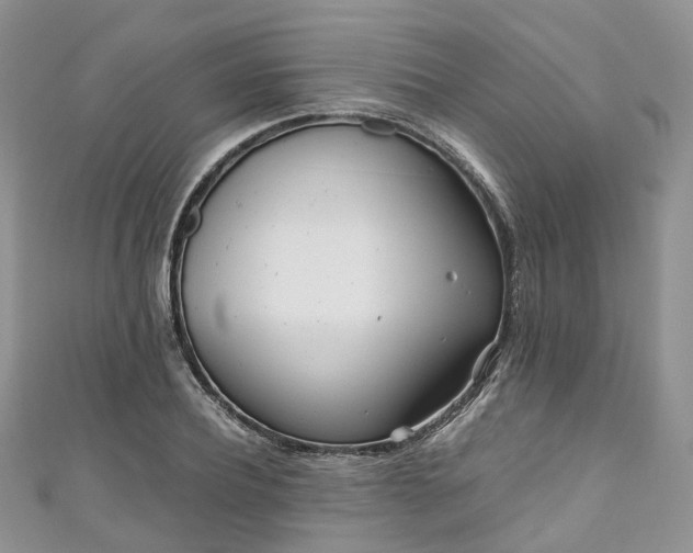 X0000111010932200906261516