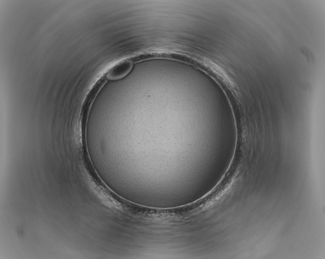 X0000111010934200906261516