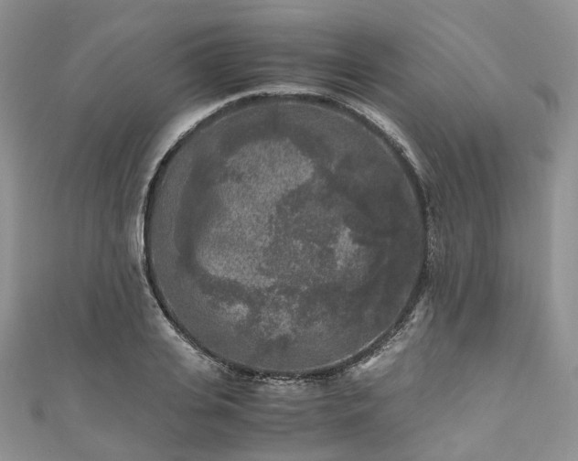 X0000111010935200906261516