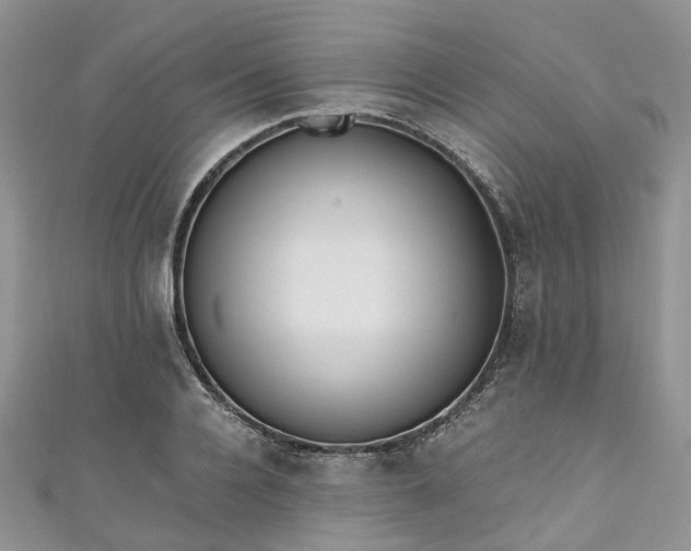 X0000111010936200906261516