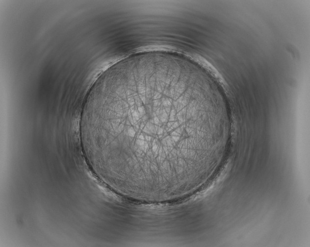 X0000111010937200906261516