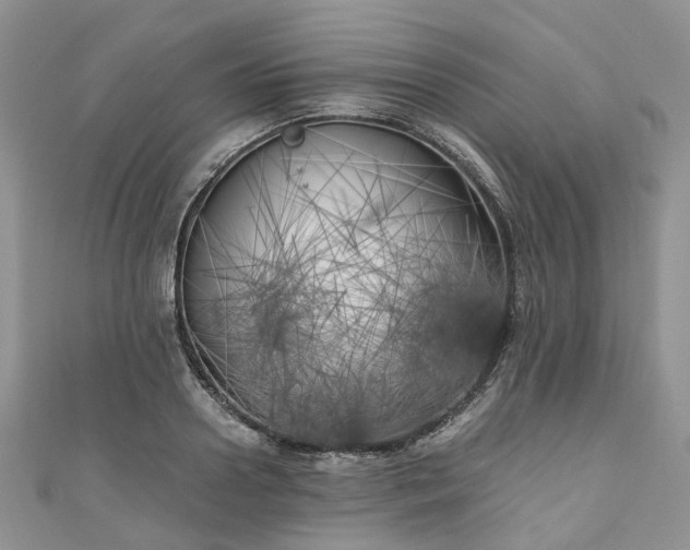 X0000111010938200906261516