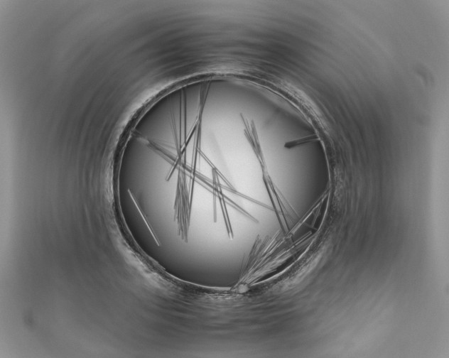 X0000111010939200906261516