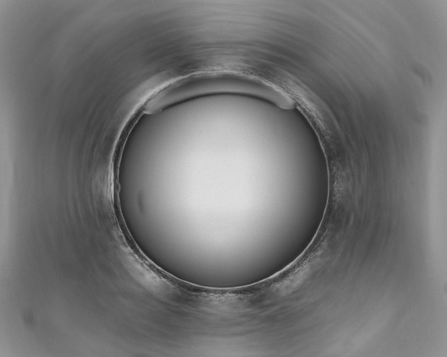 X0000111010940200906261516