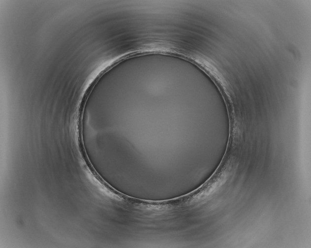 X0000111010941200906261516