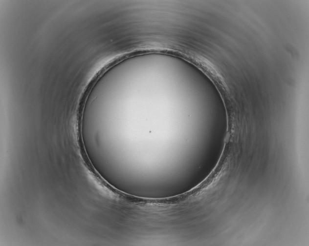 X0000111010942200906261517
