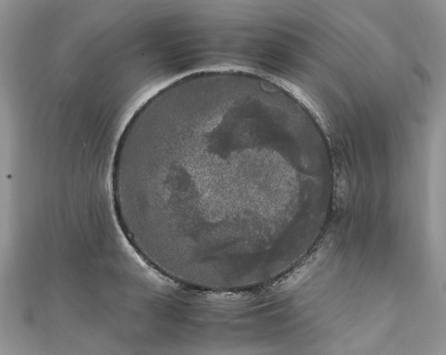 X0000111010943200906261517