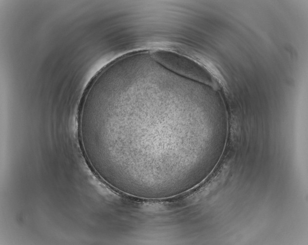 X0000111010944200906261517