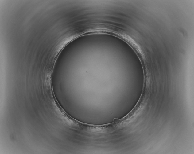 X0000111010945200906261517
